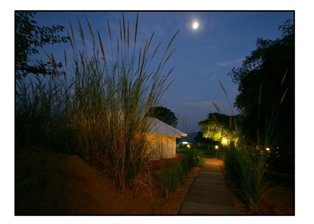 The Shergarh Sawai Madhopur Exteriör bild